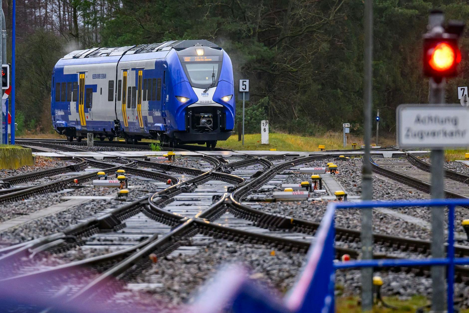 Ein Zug mit Wasserstoffantrieb der Niederbarnimer Eisenbahn (NEB) auf der Linie der Heidekrautbahn.