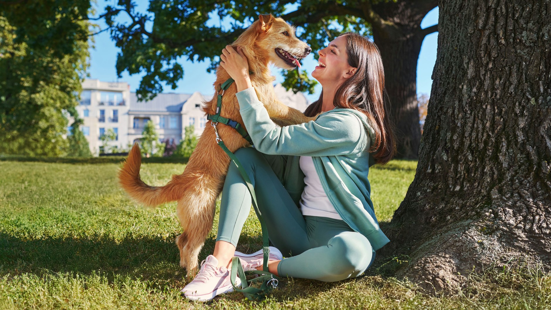 Das „Veggie Dog“-Futter von Green Petfood bietet eine ausgewogene Ernährung mit pflanzlichen Alternativen.