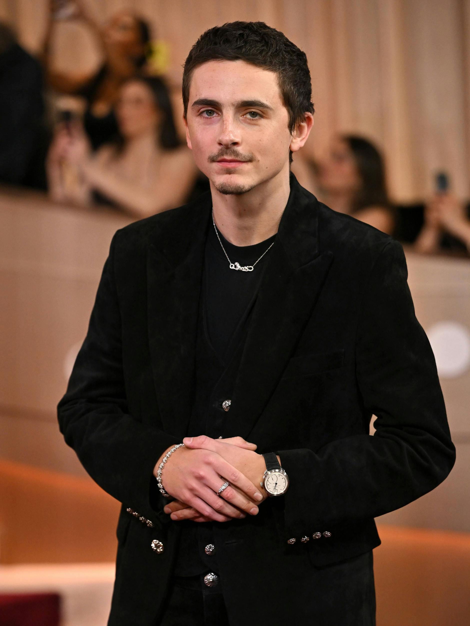 Timothée Chalamet bekam seinen ersten Golden Globe.