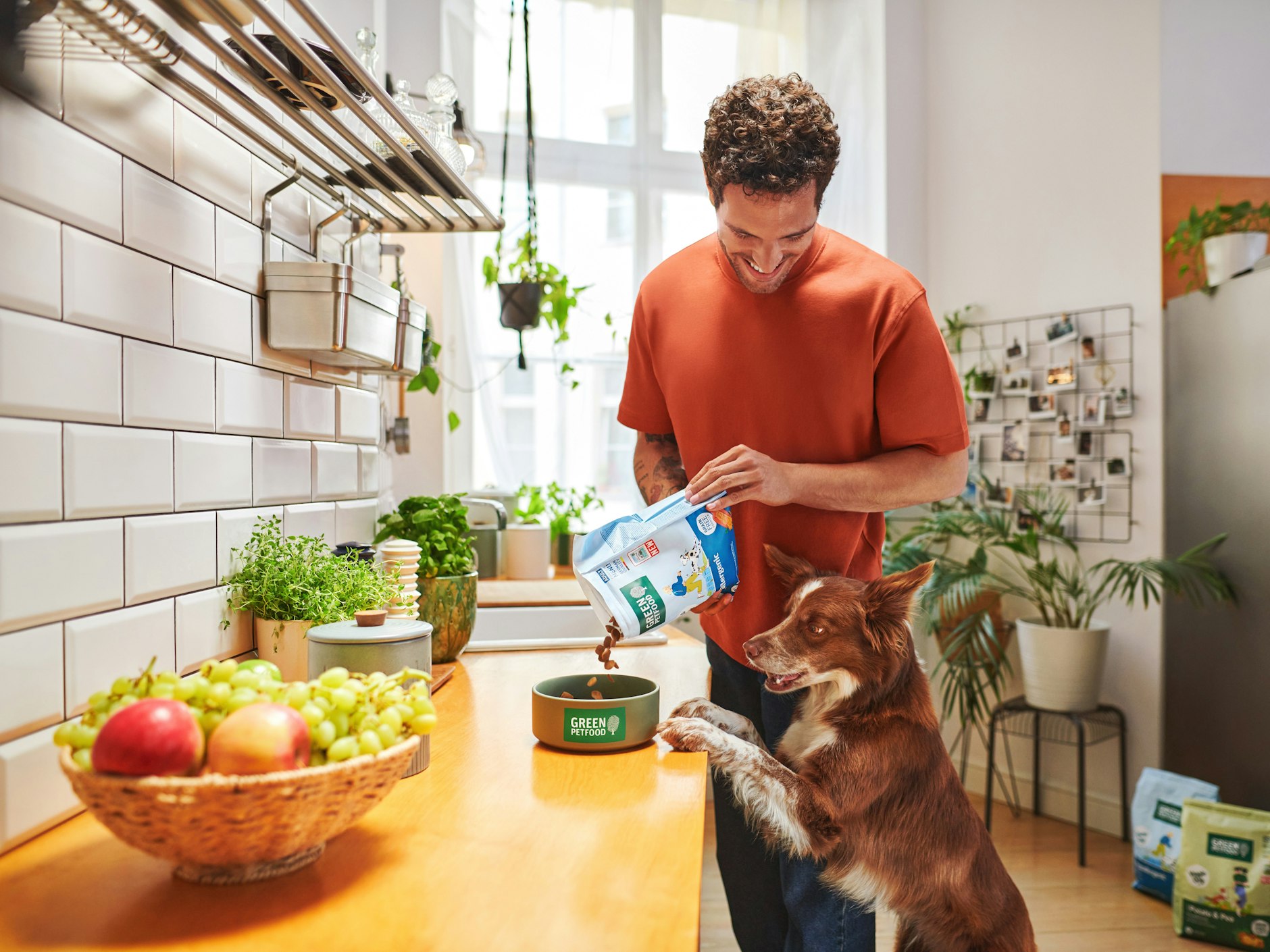 Nicht nur etwas für Menschen – auch Hunde können beim Veganuary rein pflanzliches Futter ausprobieren