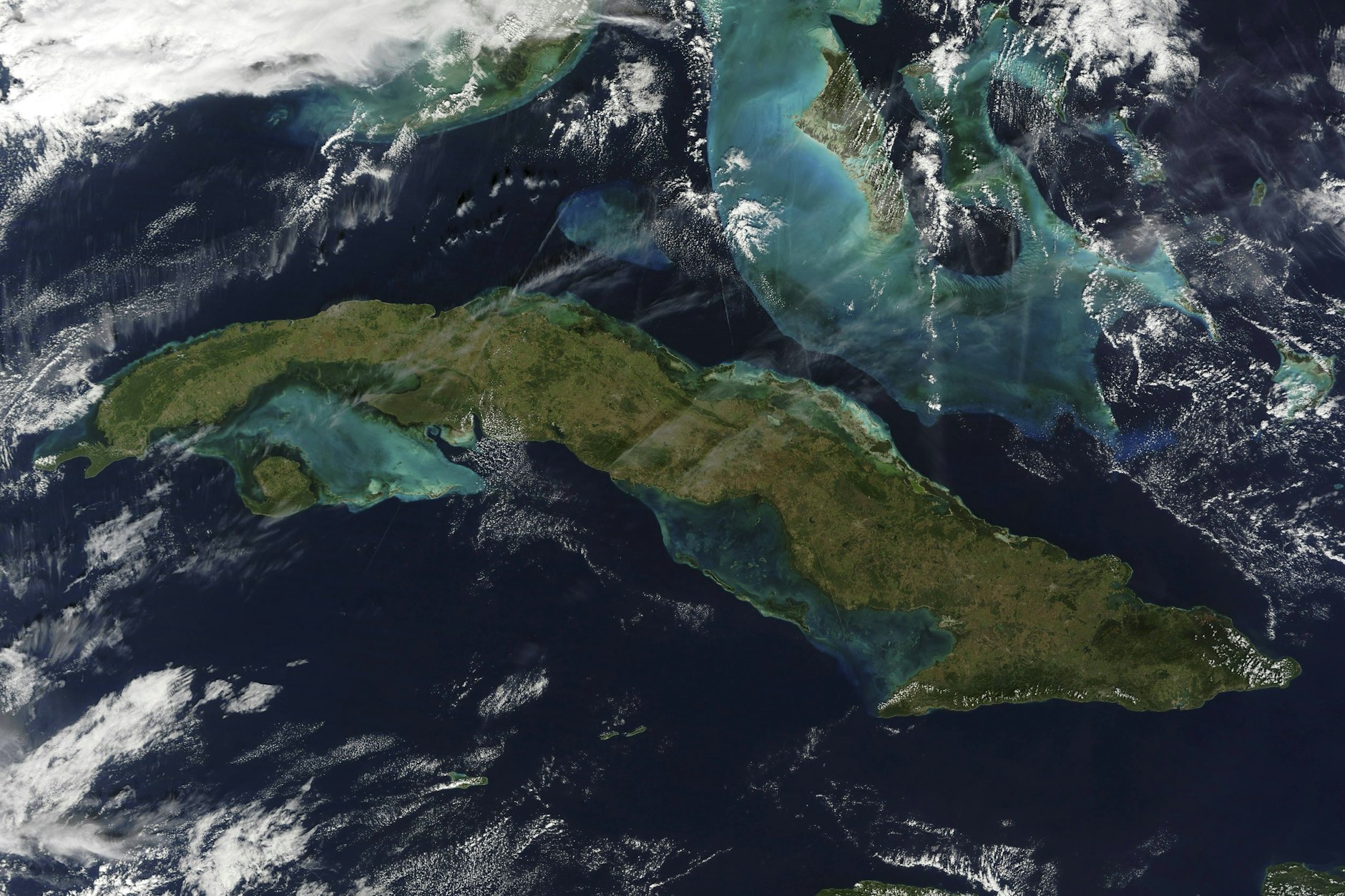 Das Meer um Kuba die helleren Flächen beherbergen Phytoplankton.