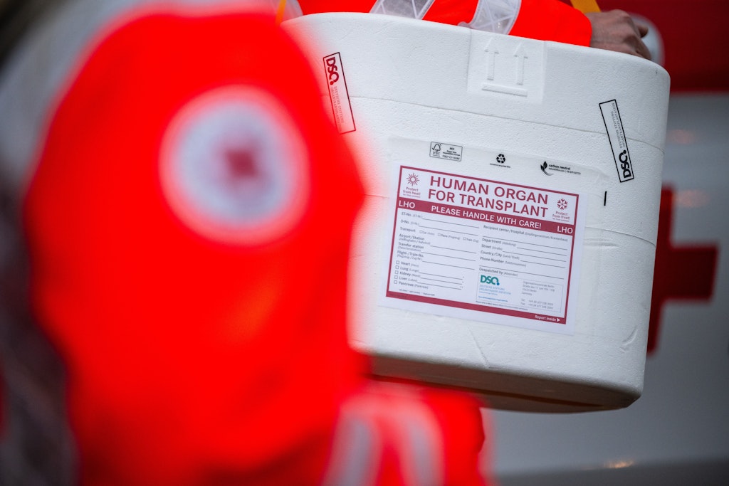 Organspende 2025: Berlin meldet leichten Rückgang – deutschlandweit zeichnet sich anderes Bild ab