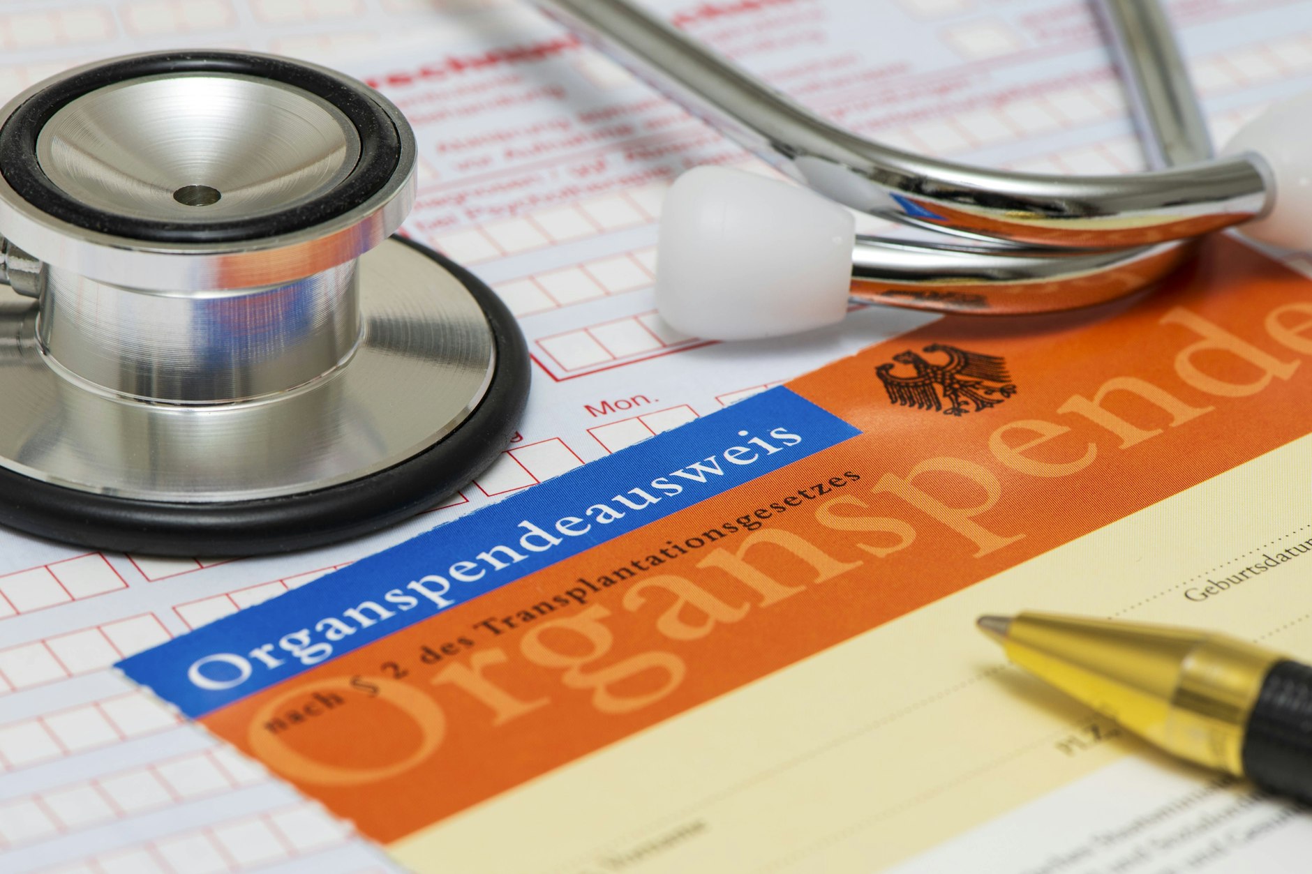 33 Berliner haben 2025 ihre Organe gespendet.
