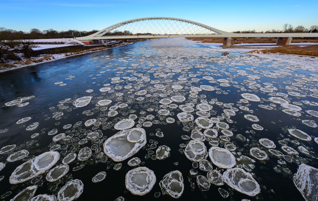 Seltenes-Naturschauspiel-an-der-Oder-Wussten-Sie-was-Brieger-G-nse-sind-