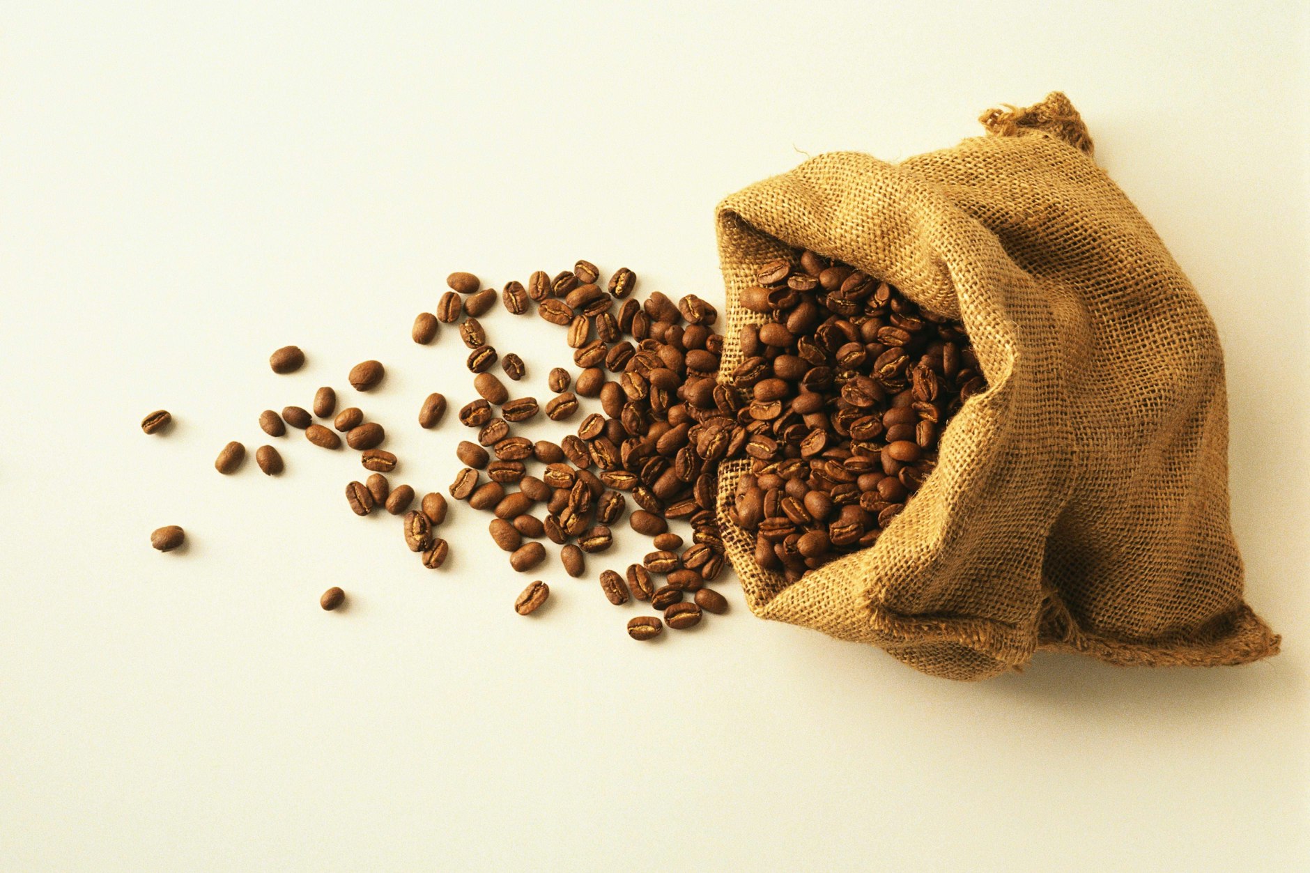 Jede Bohne zählt bei der Berliner Kaffeewette, die Lichtenberg gewinnen will.