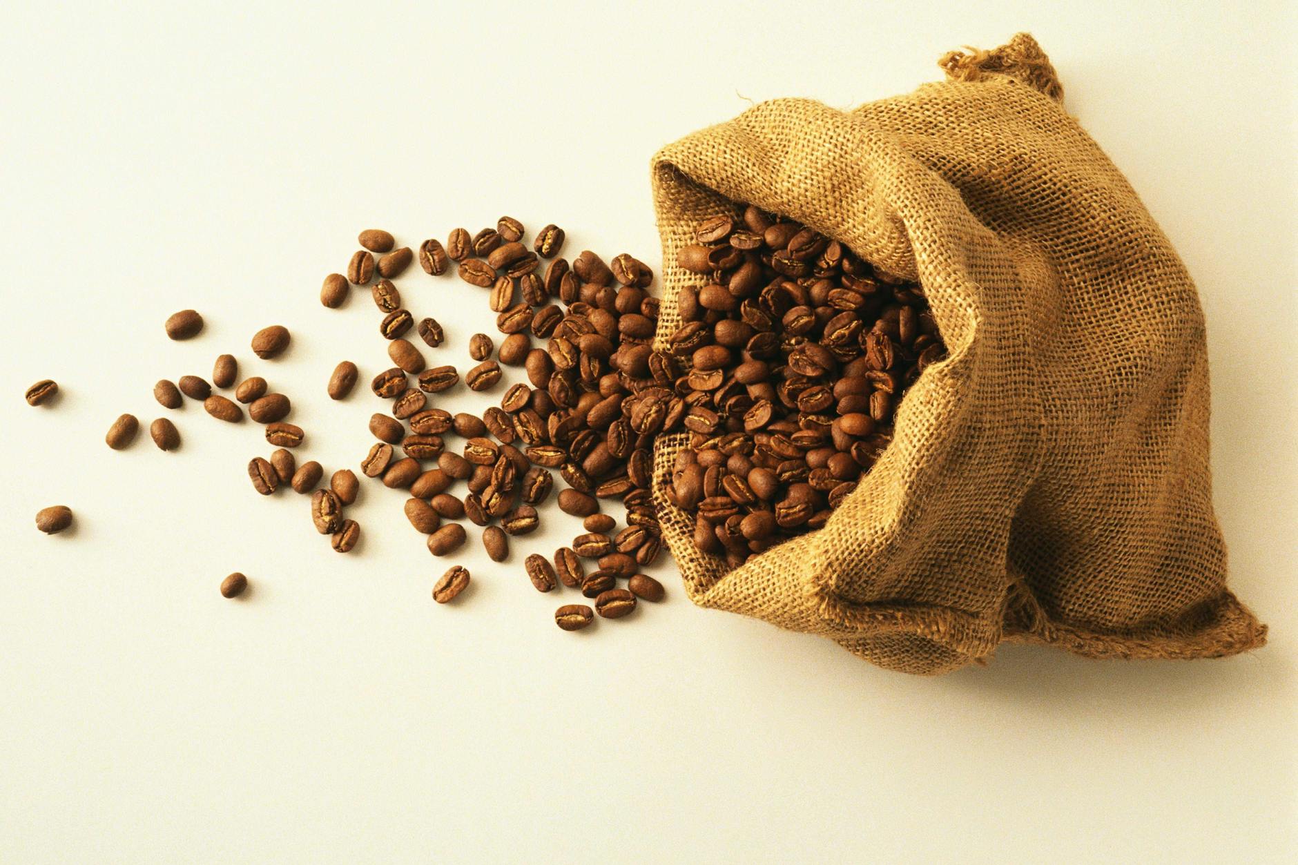 Wie „Wetten, dass ..?“: Lichtenberg macht bei cooler Kaffeewette mit