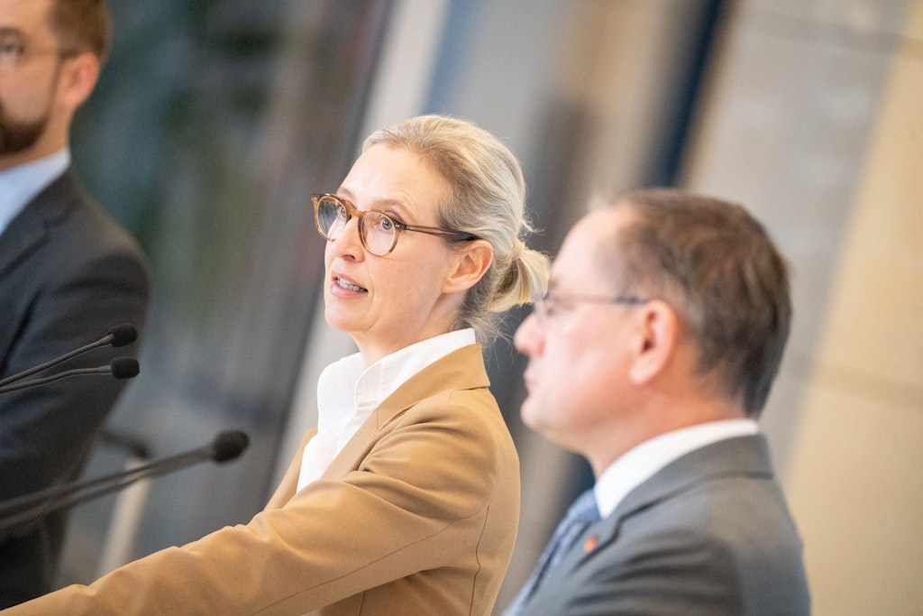 „Gegen elementares Wahlversprechen verstoßen“ – AfD-Chefs kritisieren Donald Trumps Außenpolitik