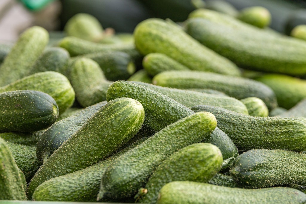 Glatteis in Berlin: Hilft uns jetzt die Spreewaldgurke aus der Patsche?