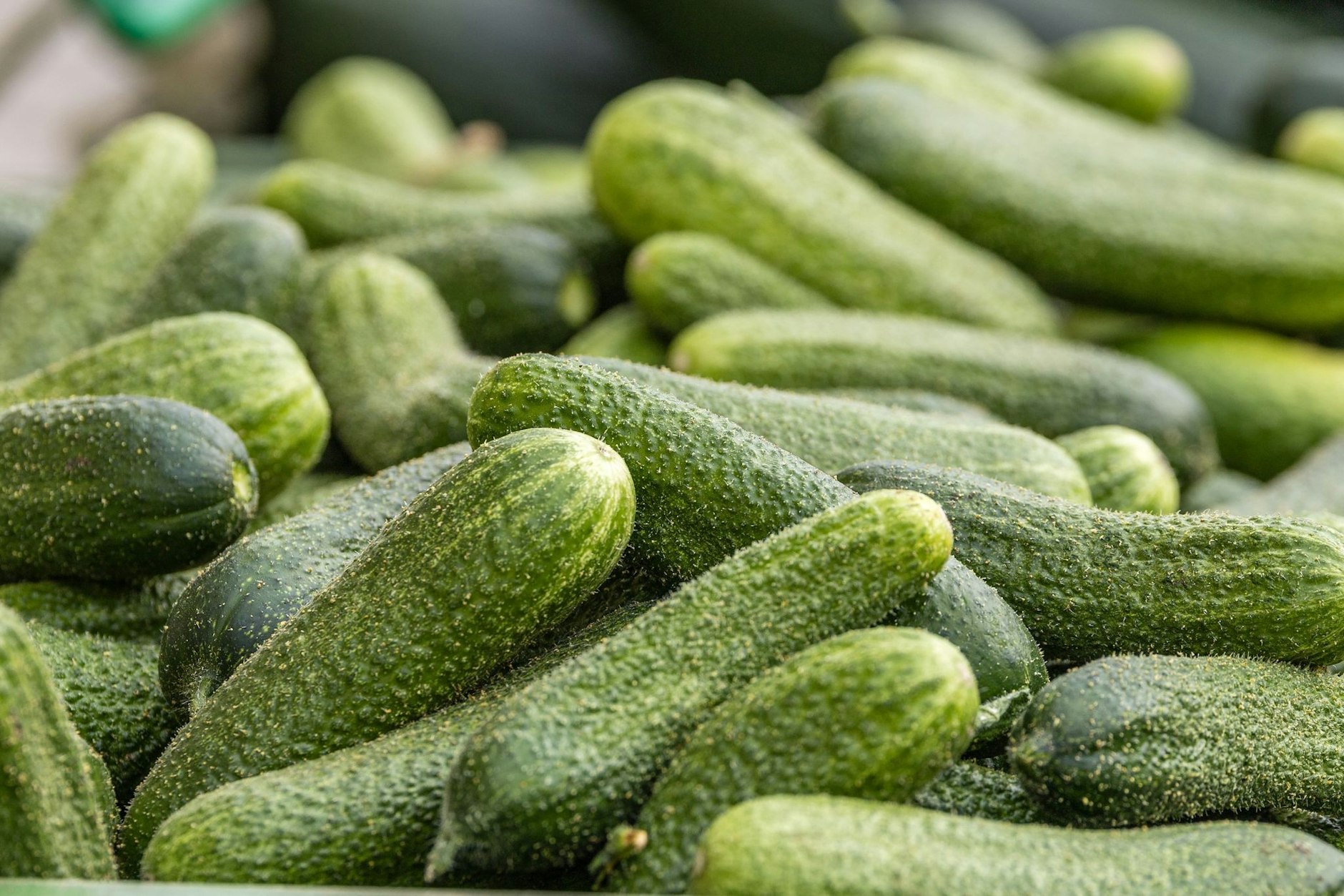 Ist Gurkenwasser der Durchbruch bei der Bekämpfung winterlicher Straßenglätte?