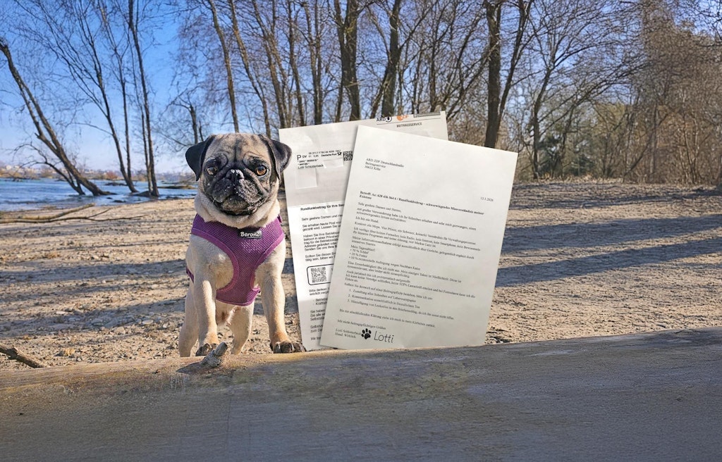 Hund-Lotti-Schlotterbeck-soll-GEZ-zahlen