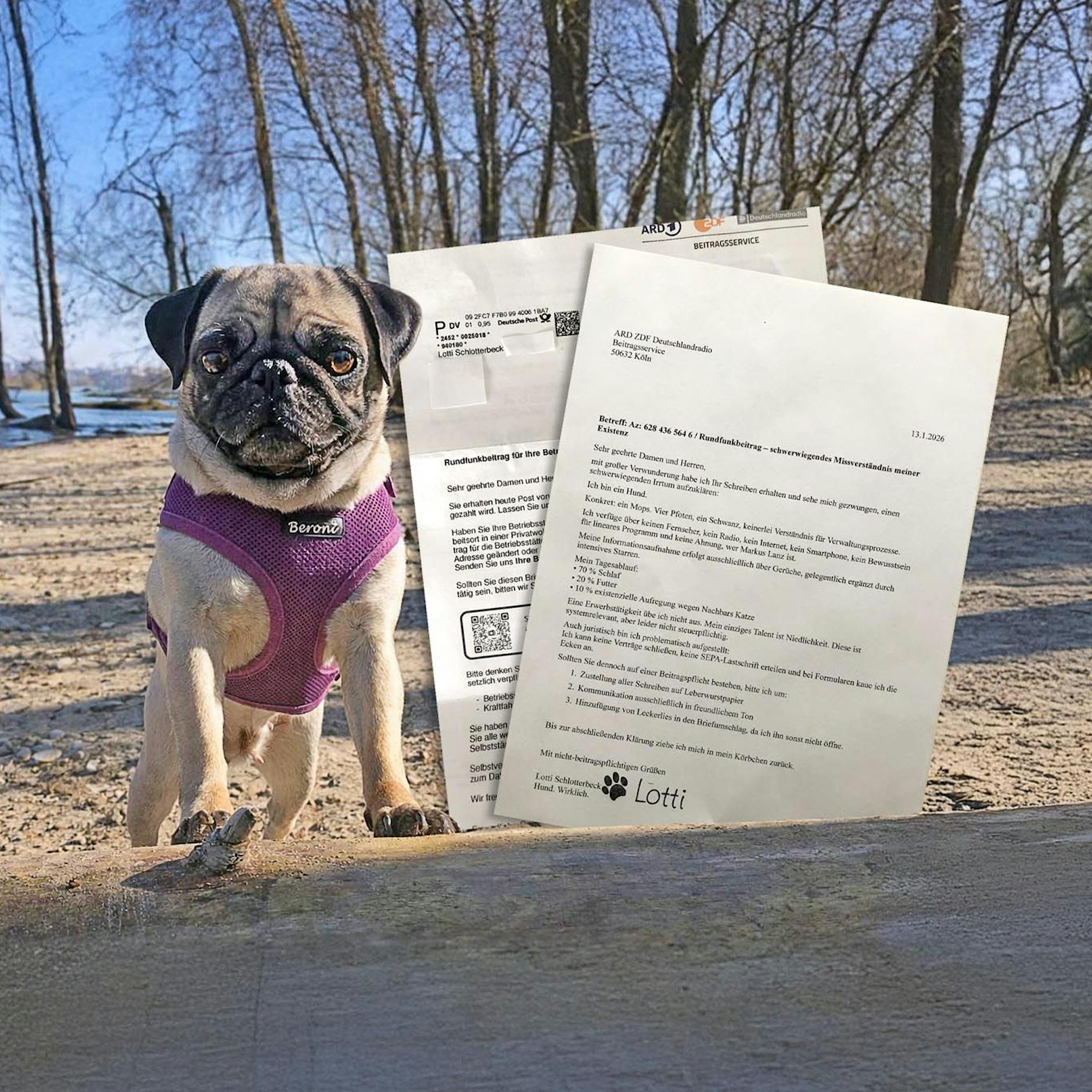 GEZ Beitragsservice schickt Rechnung an Mops