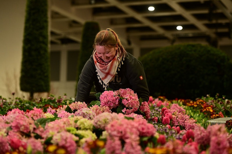 Auf der Grünen Woche trifft Feststimmung auf Frust