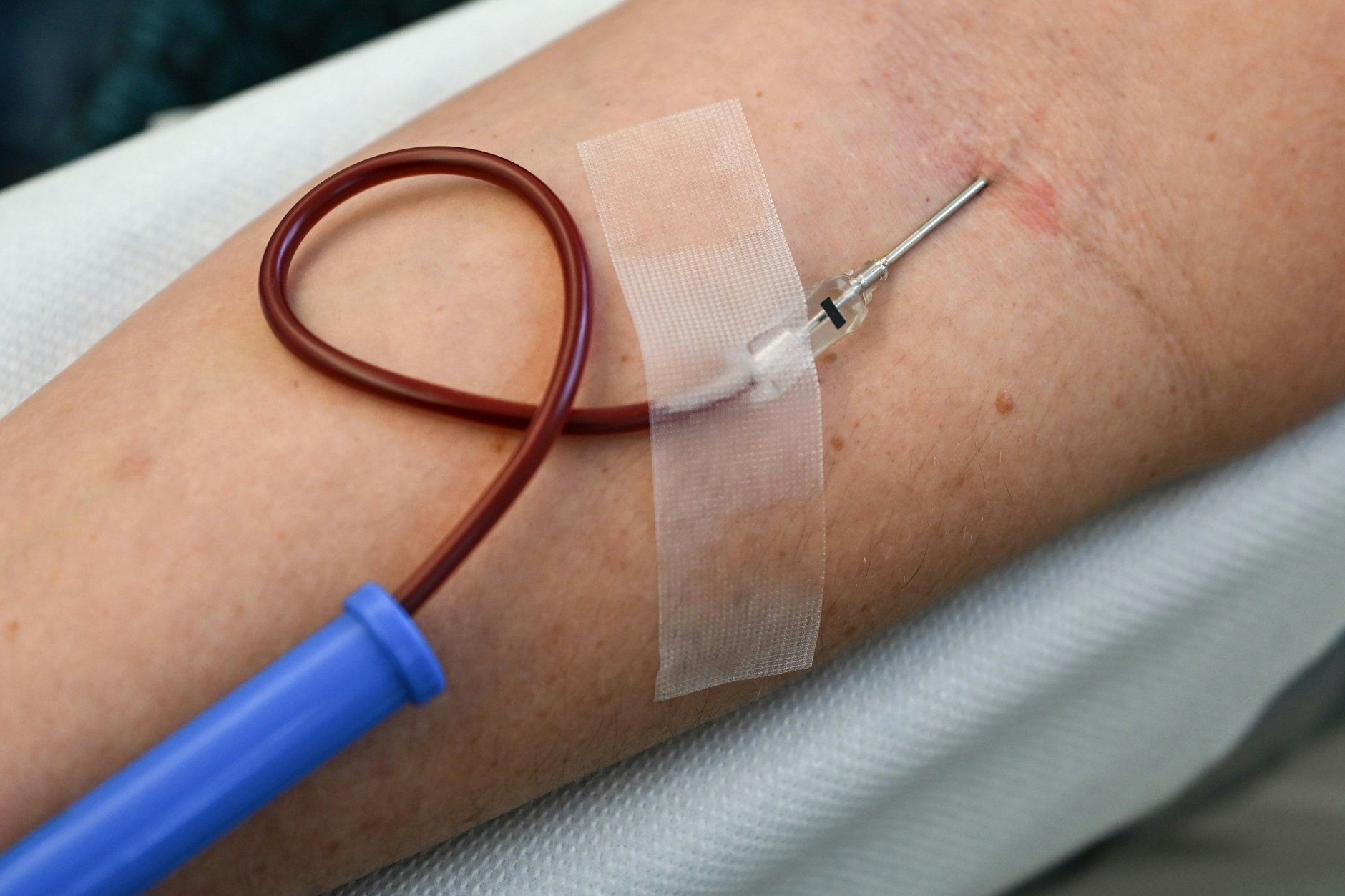 Eine Blutspenderin gibt beim Bloody X-Mas Markt ihre Blutspende auf dem Campus der Charite ab.