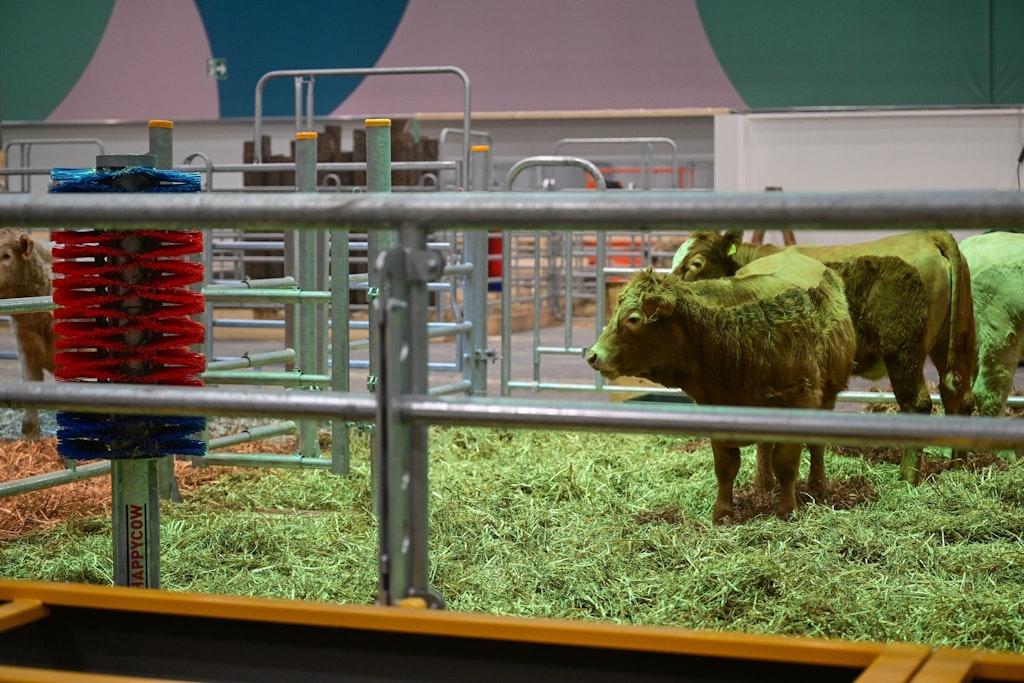 Start der Grünen Woche: Hier kann es zu Verkehrseinschränkungen kommen