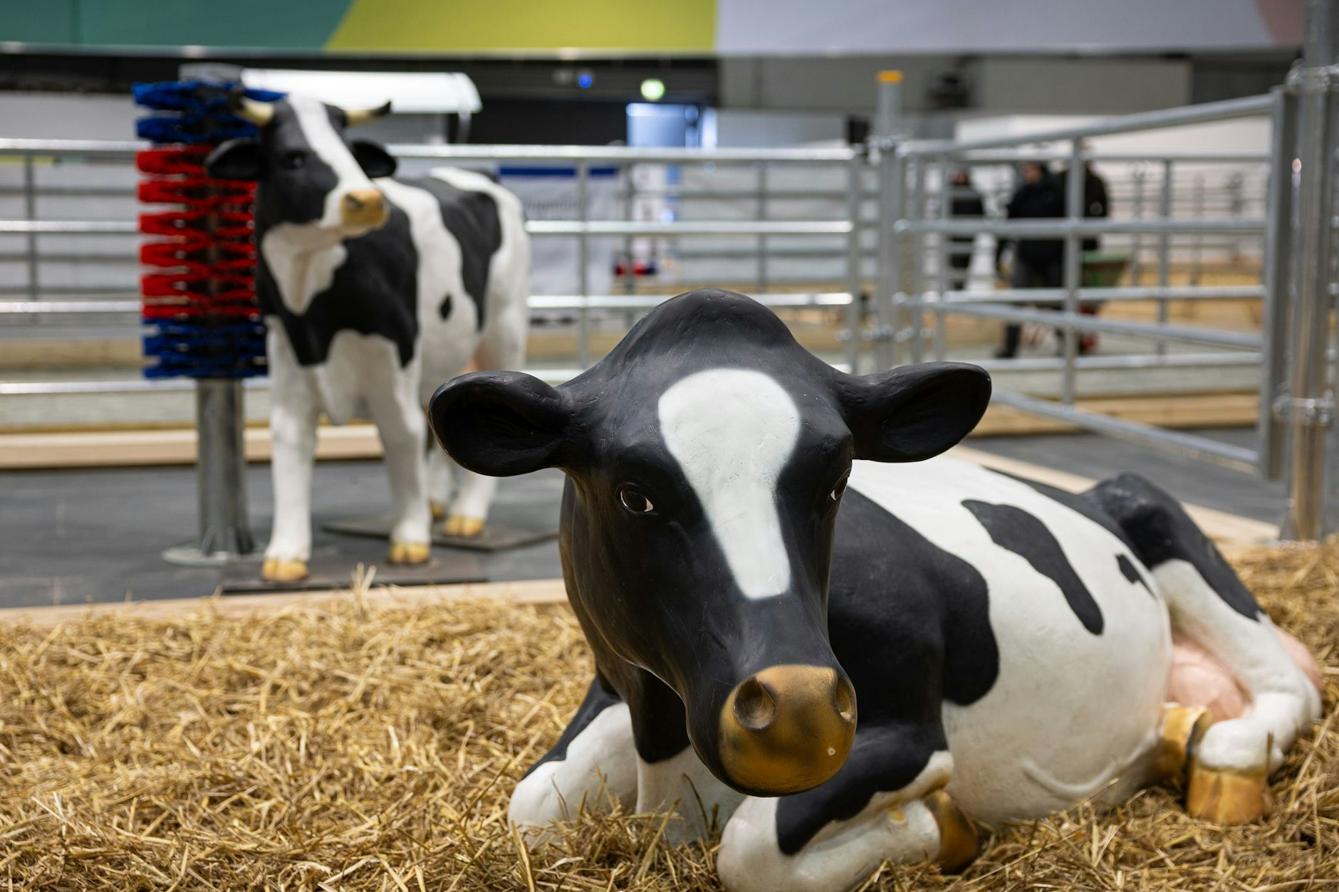 Bei der 99. Grünen Woche gab es nur Kuhatrappen zu sehen. 