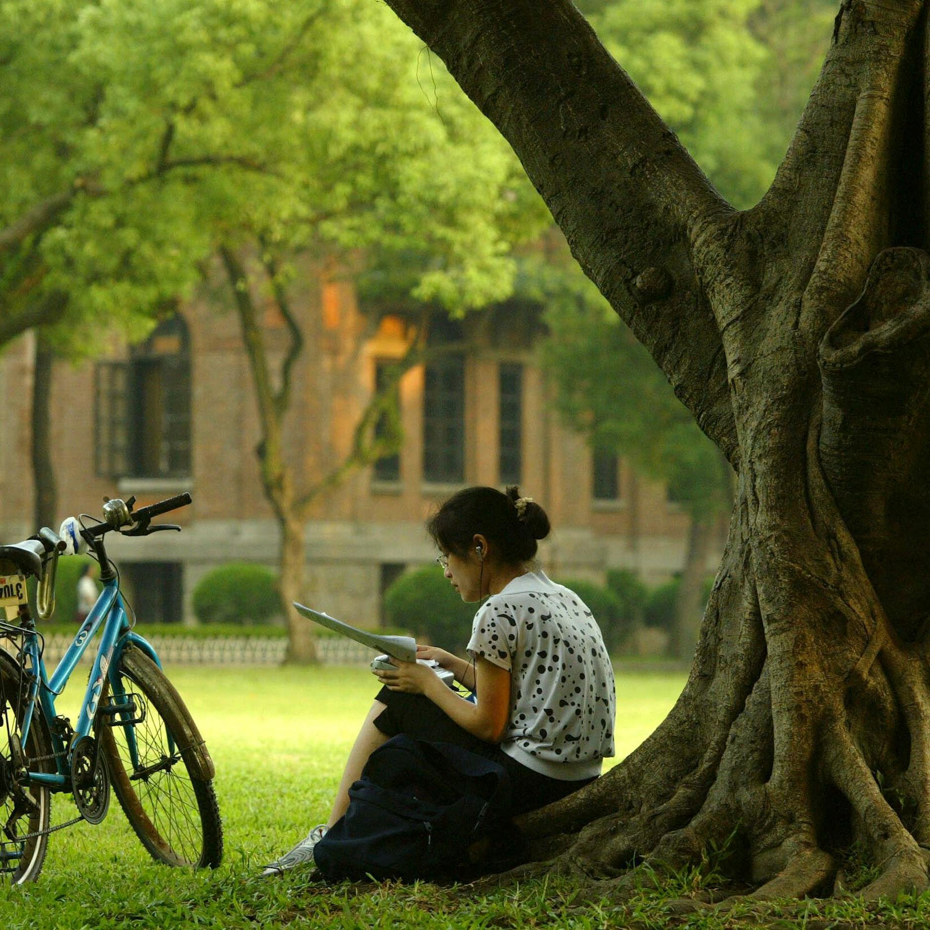 Image - Deutschland, China und die große Gefahr der kulturellen Entkopplung