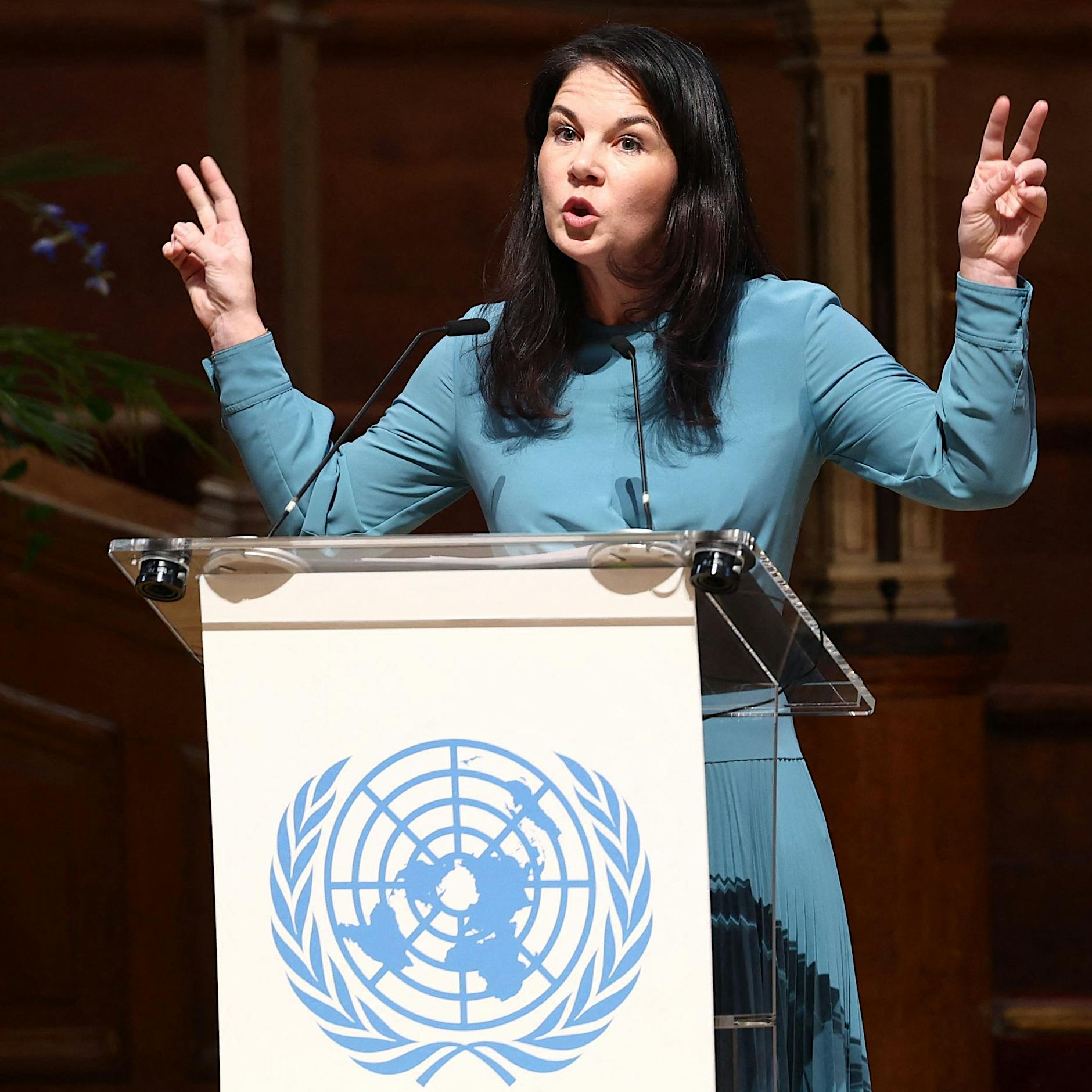 „Dumm wie Brot“: Rentner wegen Baerbock-Post vor Gericht