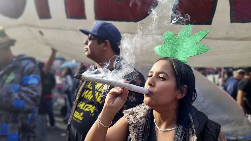 Cannabis bei Nervenschmerzen: Neue Übersichtsstudie rät von Therapie ab