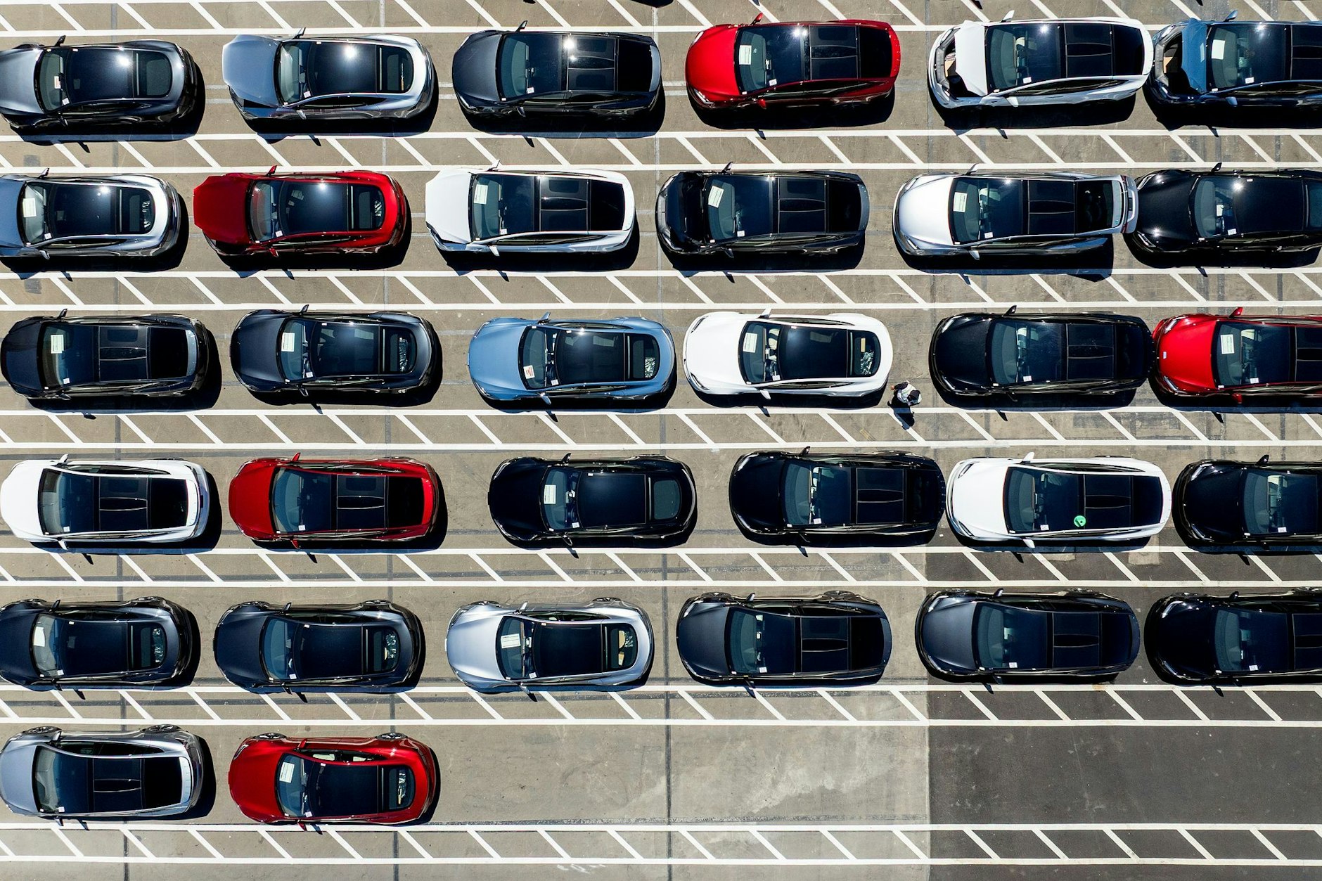 Tesla war 2024 noch erfolgreich auf dem deutschen Automarkt.