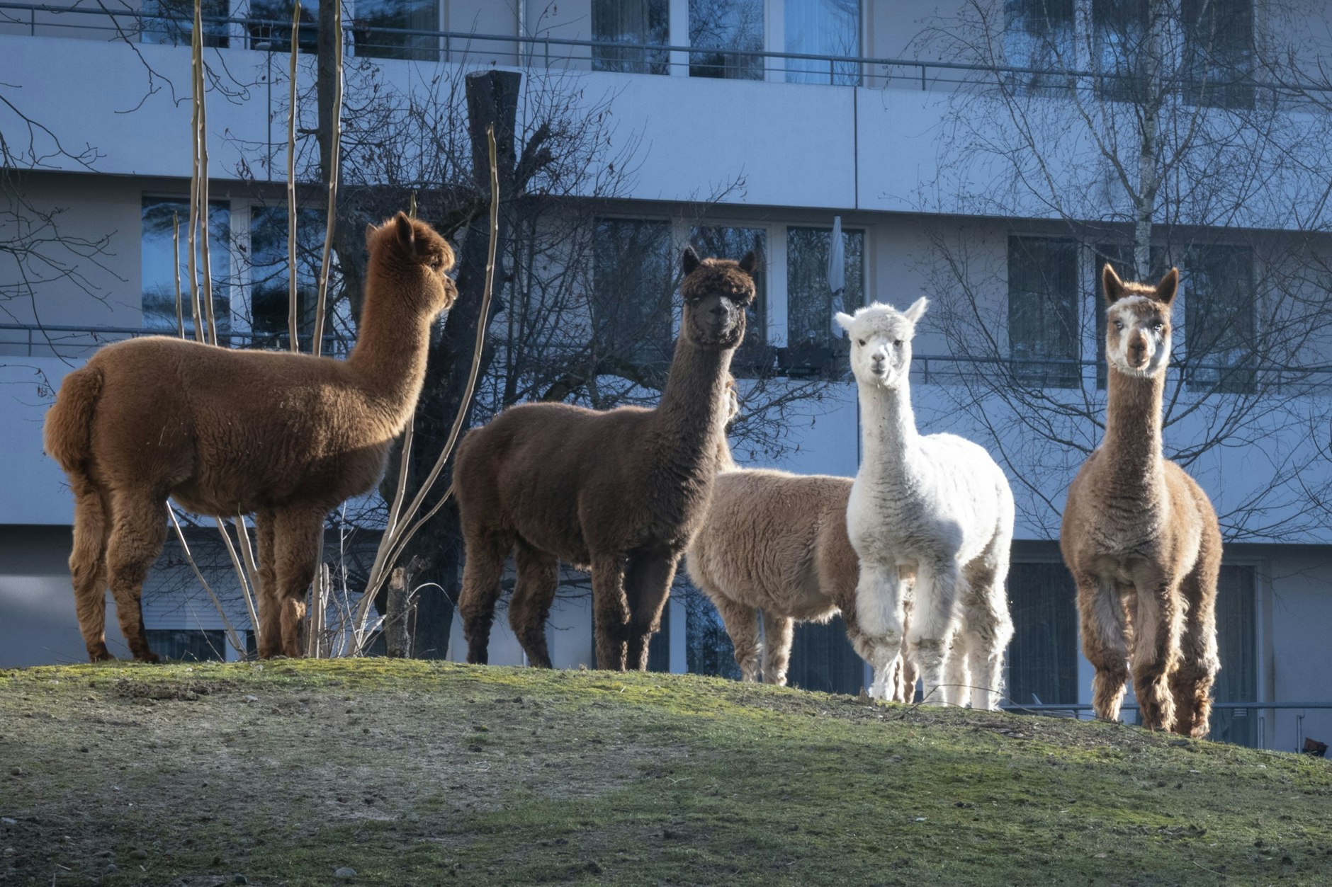 Max und seine Freunde im Garten der Seniorenresidenz