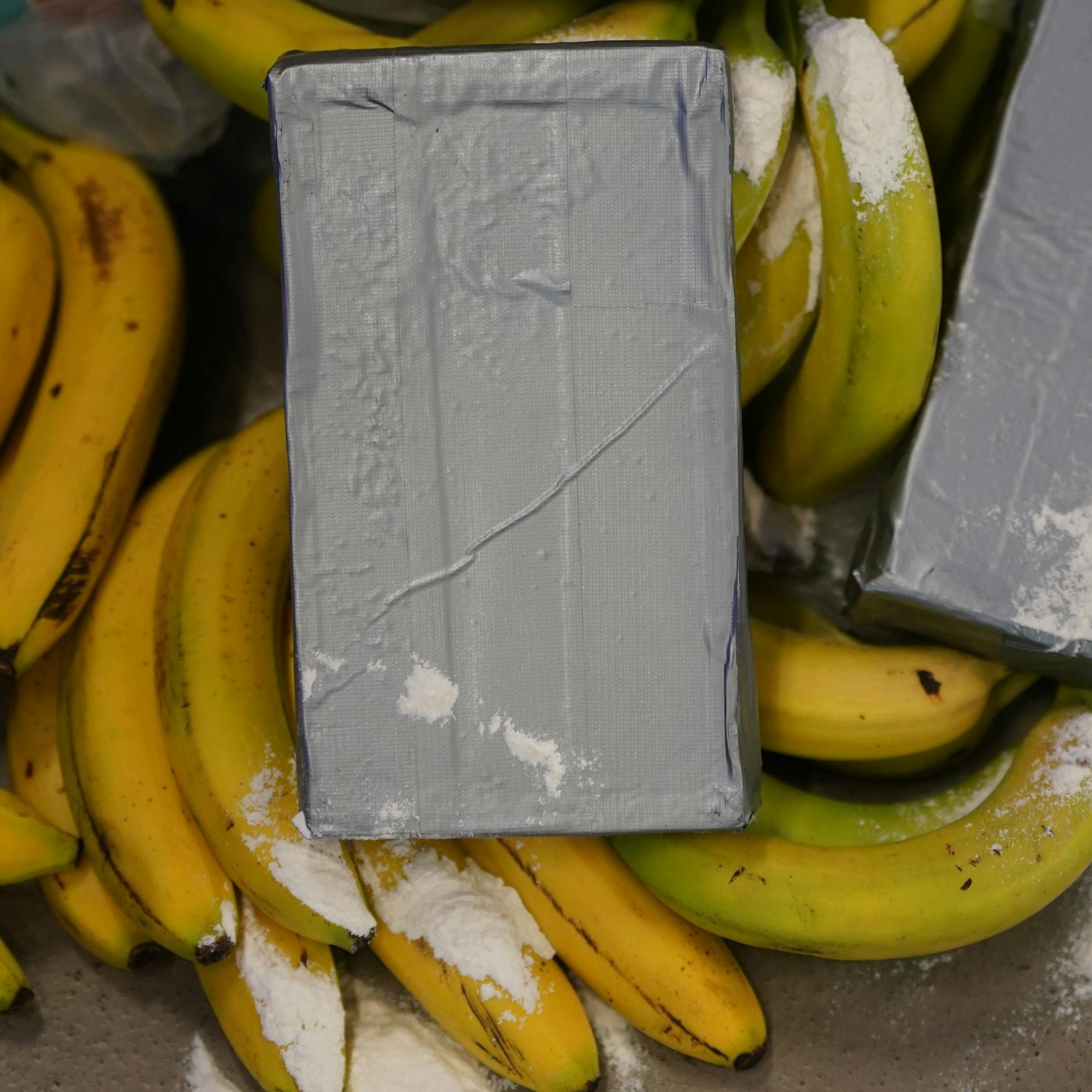 Besonders gern wird Kokain in Bananenkisten geschmuggelt. Auch in Berlin und Brandenburg wird die Droge immer wieder gefunden.