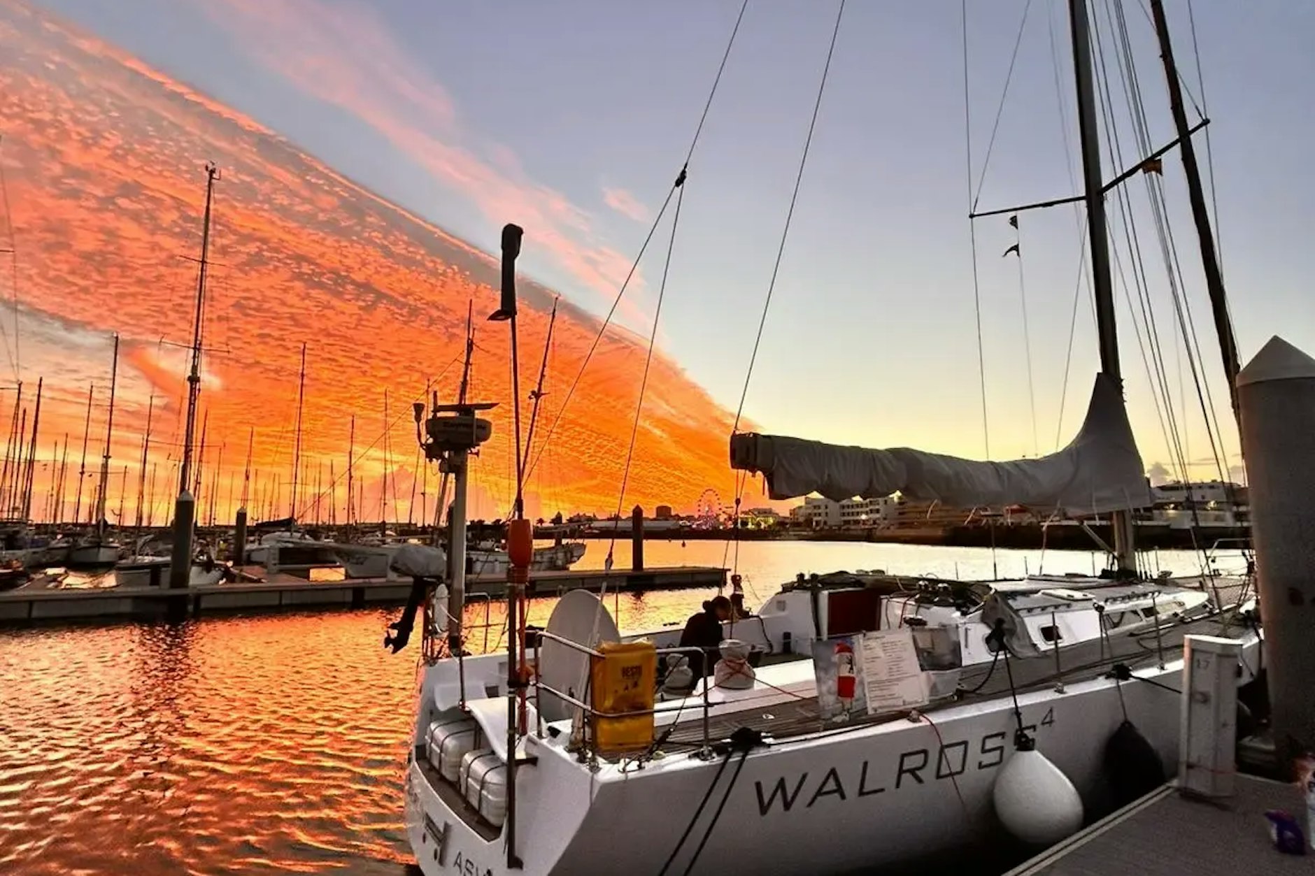 Viele Berliner kennen die „Walross“-Boote.