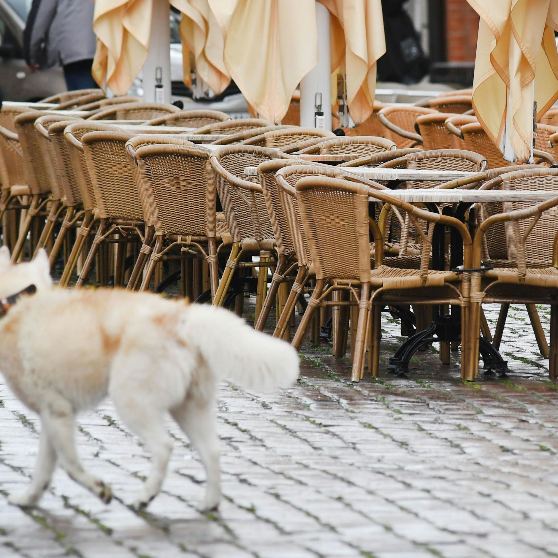 Image - Neues Gaststättengesetz: Berliner Gastronomie soll länger draußen öffnen dürfen