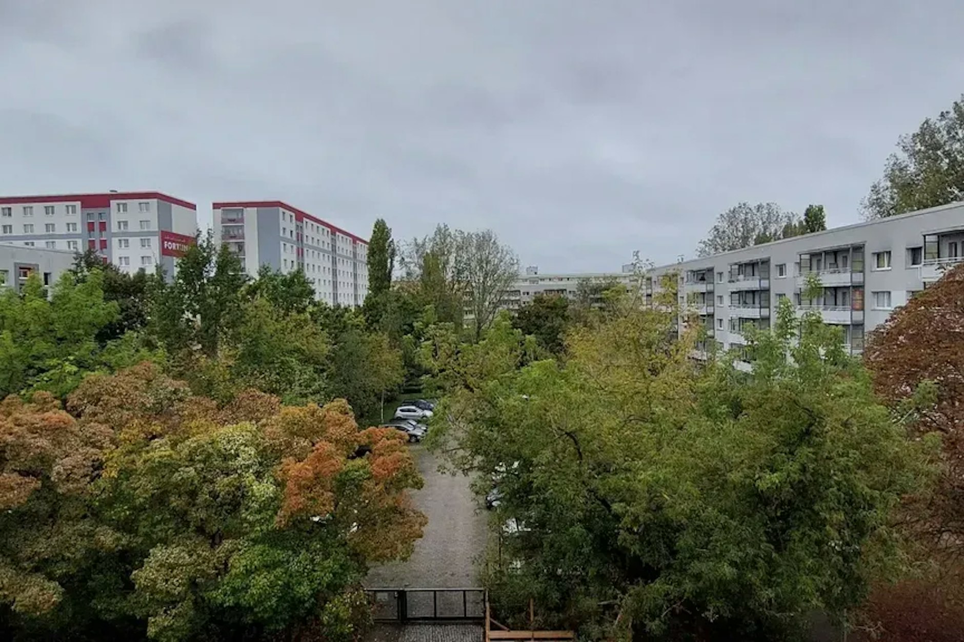 Blick auf einen Teil des Innenhofes der Joachimsthaler Straße, der so groß wie ein Fußballfeld ist. Teile der Begrünung sollen verschwinden.