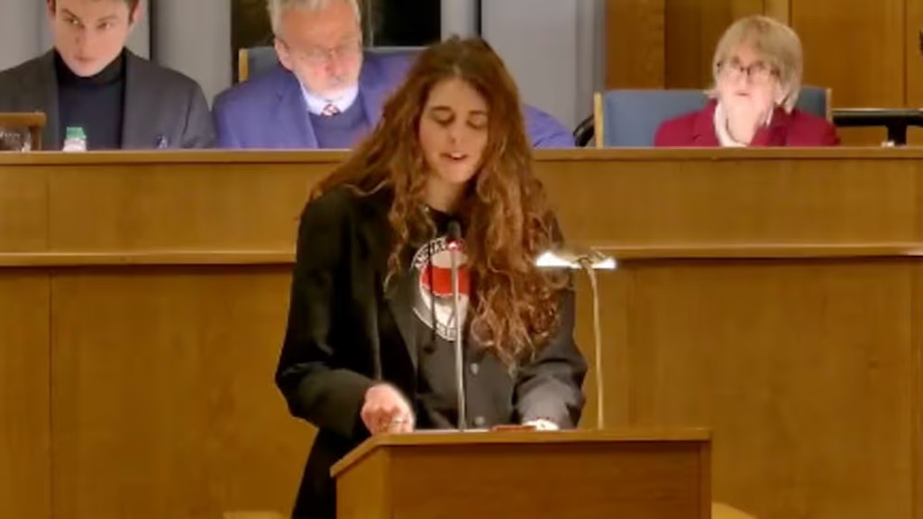 Eklat-um-Antifa-Shirt-im-Rathaus-Zehlendorf