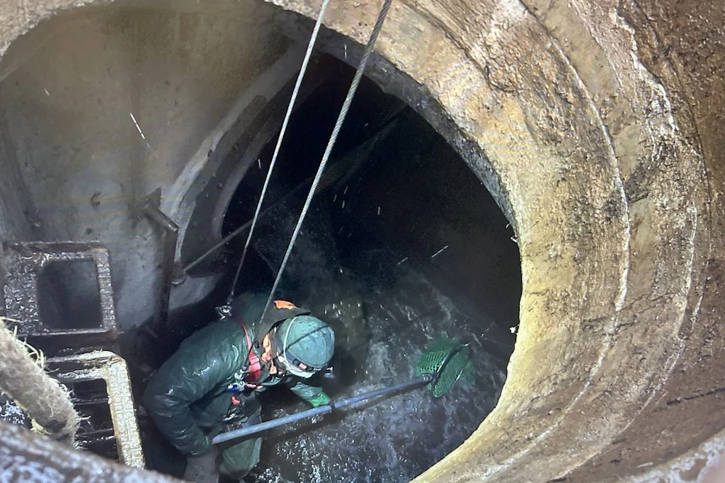 Ein Ranger der Naturwacht stieg in Schutzkleidung in das Bauwerk hinab, um die Kormorane einzeln zu bergen.