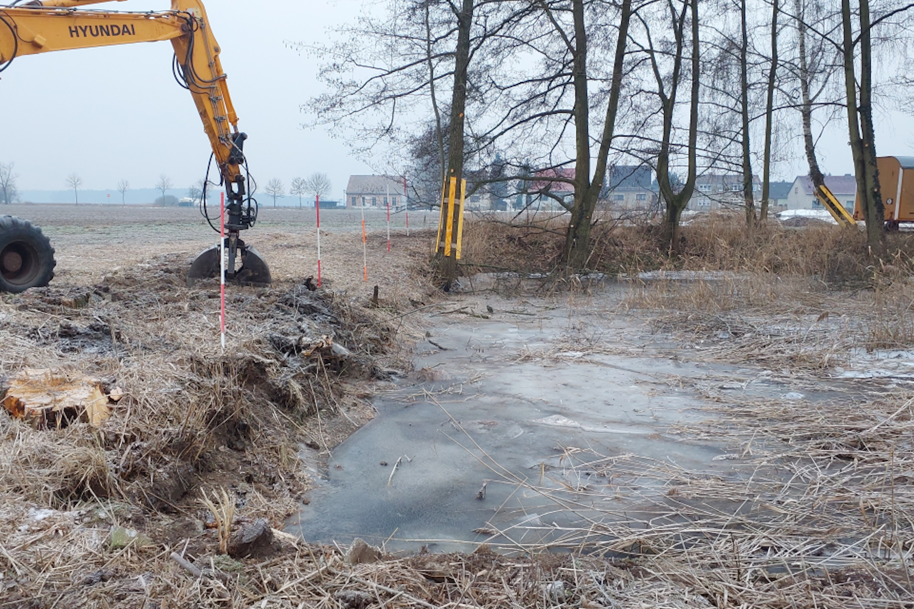 Hier entsteht ein Frosch-Paradies! Die Ufer sind freigemäht, Bäume gefällt und die Ufermauern abgetragen.