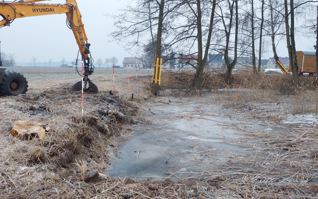 Sch-newalde-Vom-Freibad-zur-Frosch-Oase-Ein-einzigartiges-Projekt-
