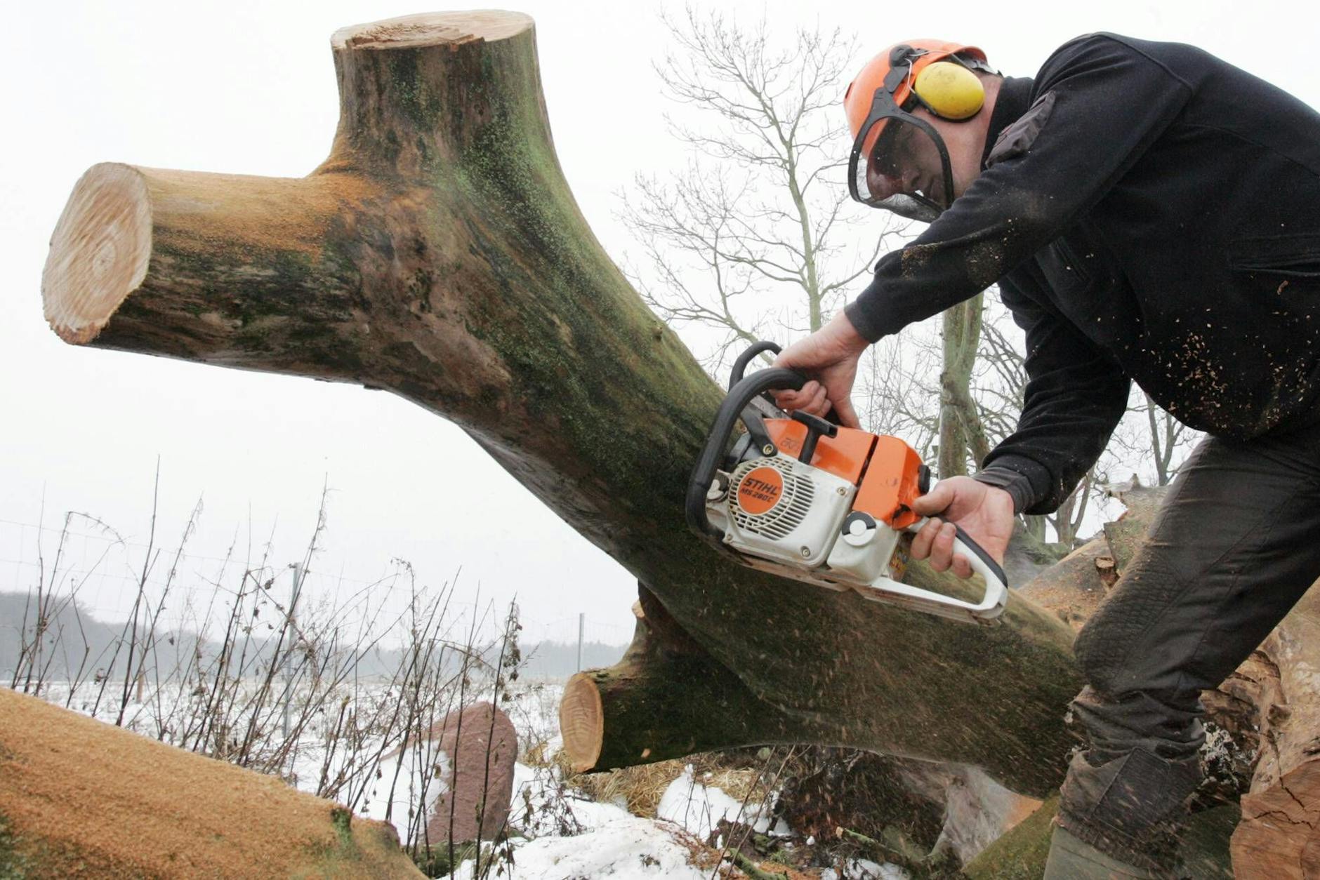 Baumfällung im Winter: Der Eisregen in Berlin verhinderte Fällungen in einem Wohngebiet in Lichtenberg.