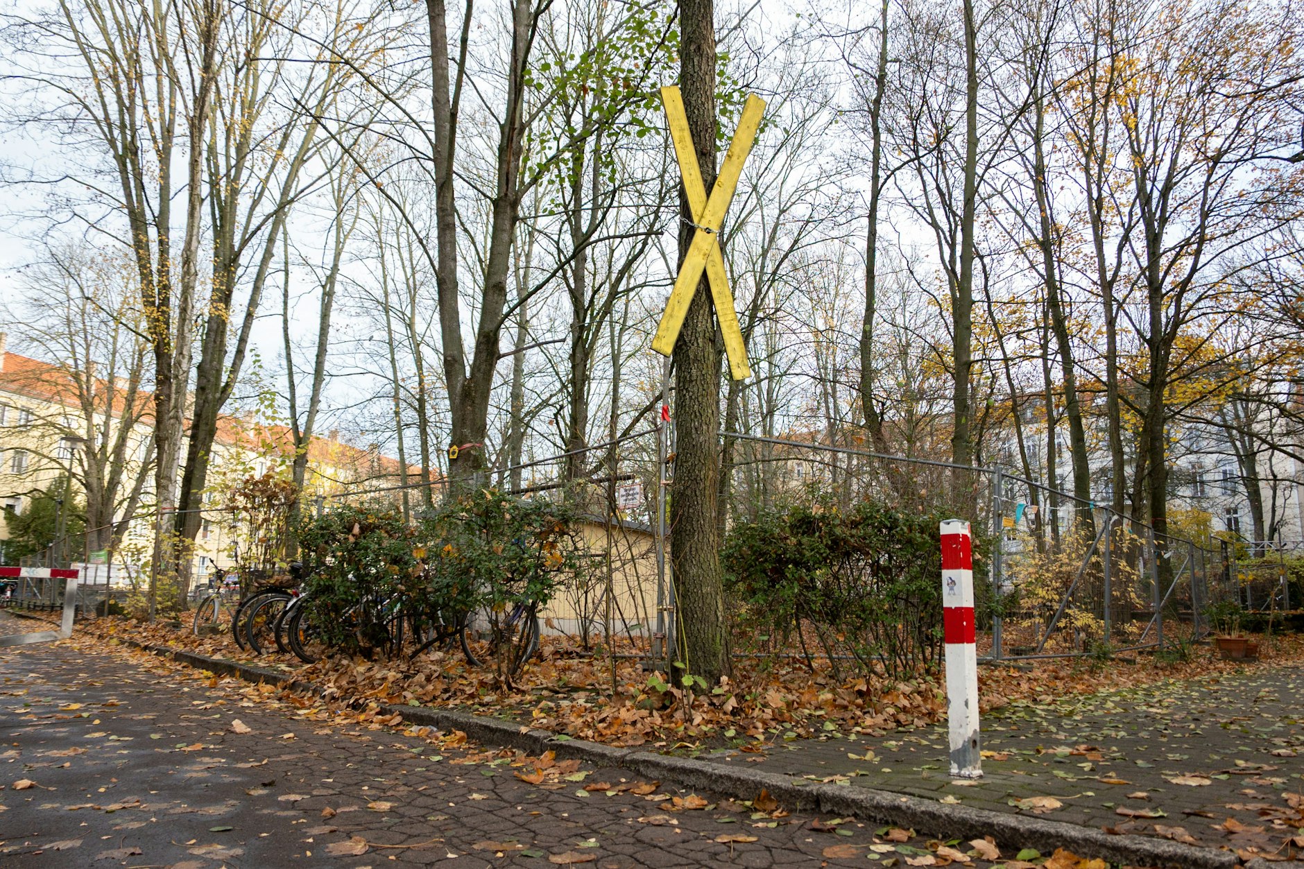 In Pankow liefern sich Gesobau und Umweltverbände ein Gerichtsduell.