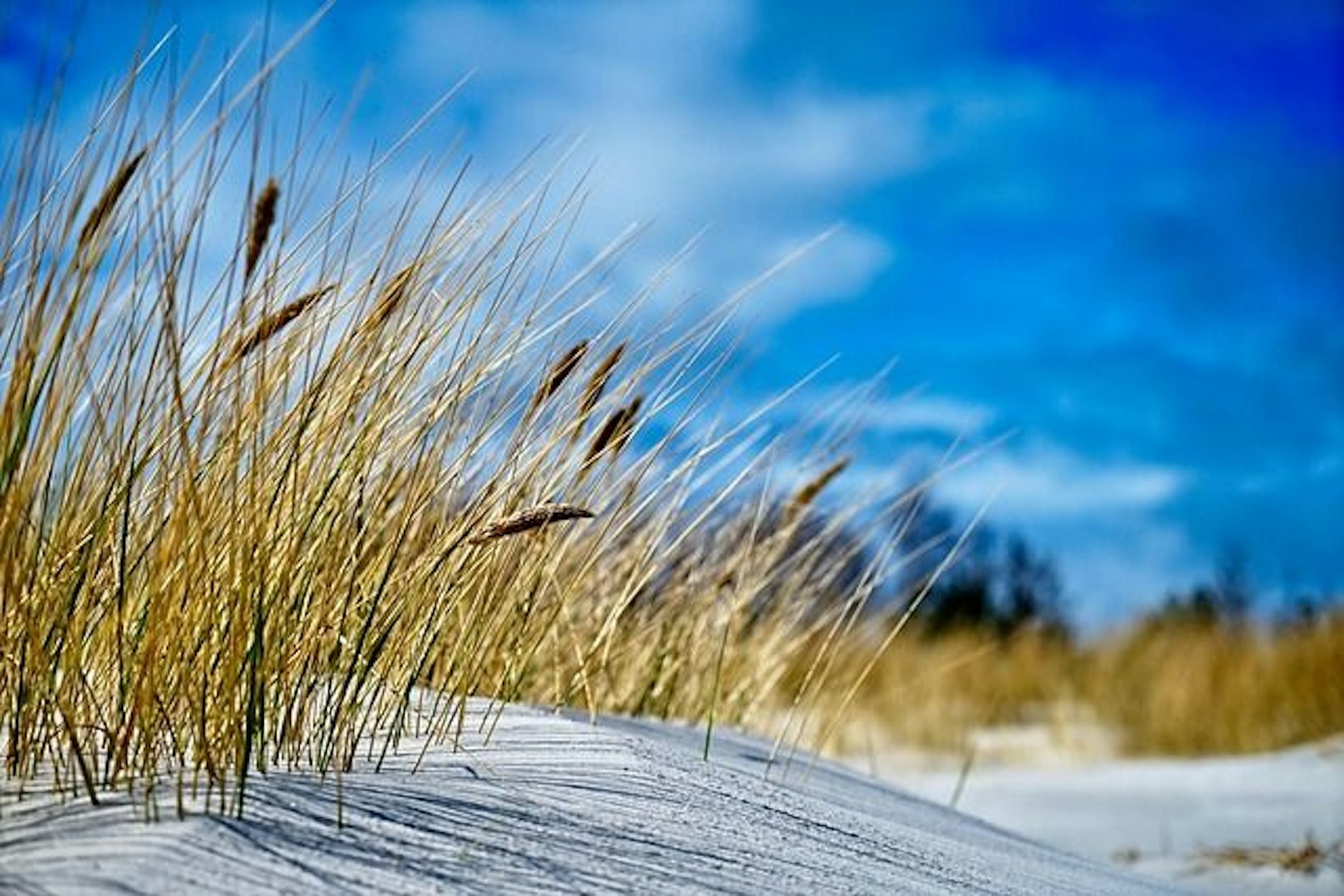 Endlose Sandstrände