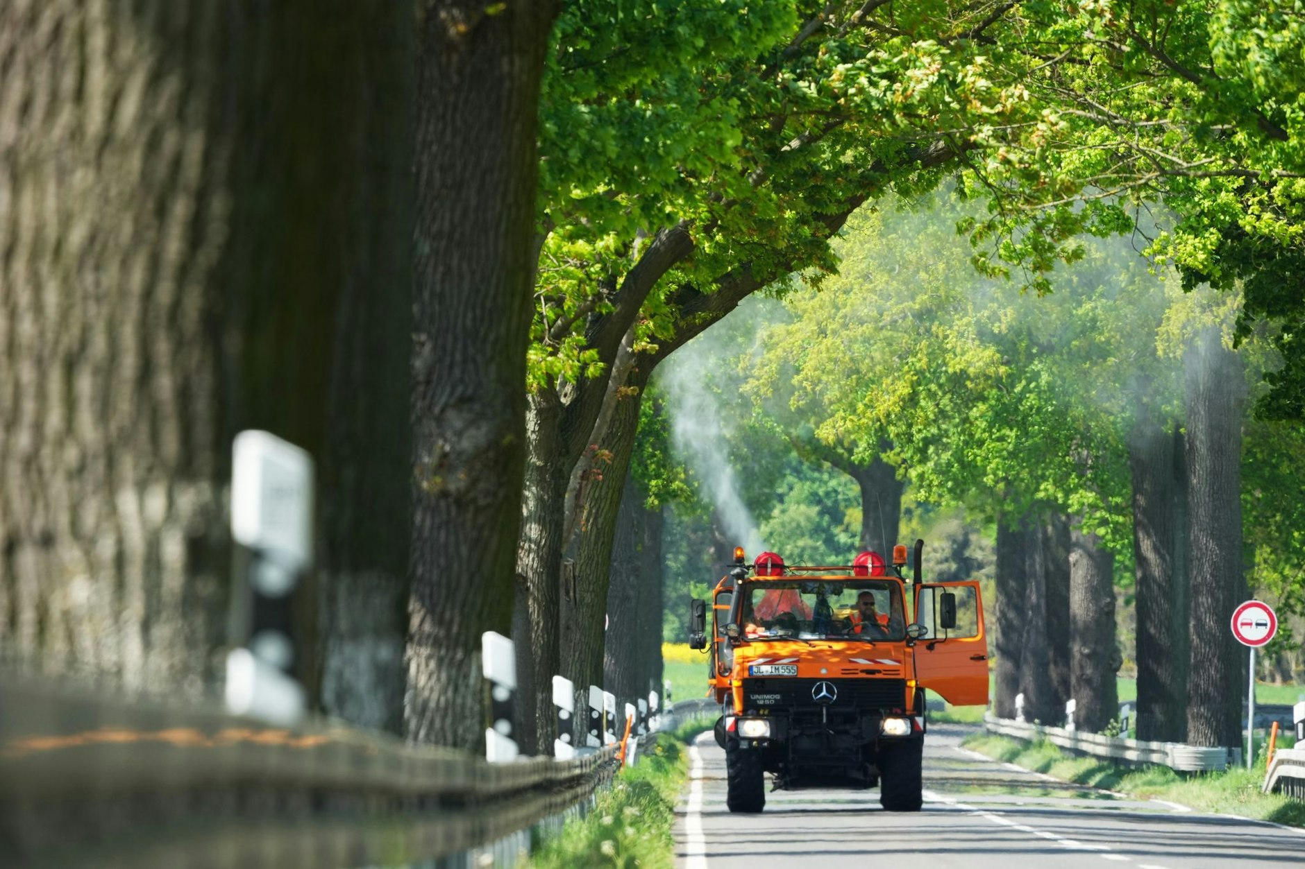 Im Auftrag des Landesbetriebes Straßenwesen sind Fachfirmen in den Bereichen der Straßenmeistereien Perleberg, Altlüdersdorf und Kyritz mit dem Bekämpfen der Raupen im Einsatz.