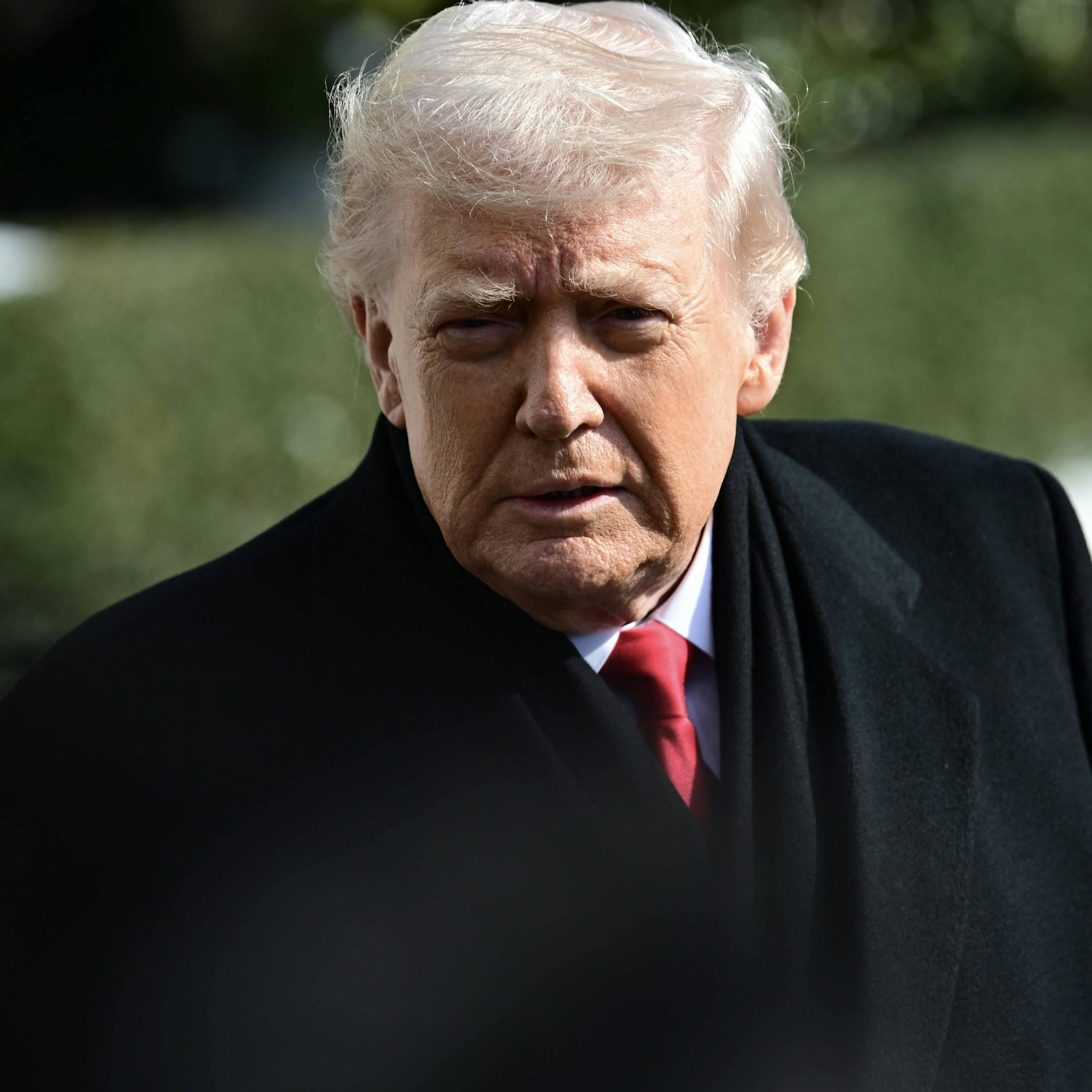 Image - Trump-Regierung in Bedrängnis: Mögliches Fehlverhalten in Minnesota eingeräumt