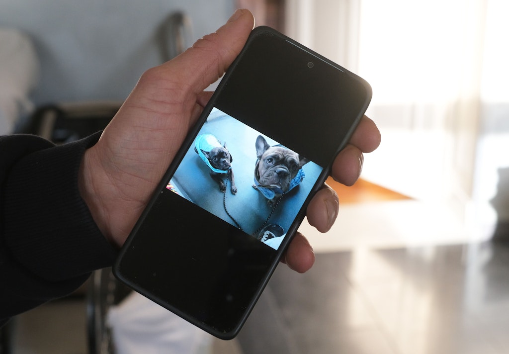 Jetzt-warten-die-Keller-Welpen-im-Tierheim-auf-ihre-Zukunft