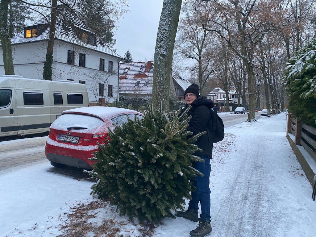 Wo-bleibt-die-BSR-Auf-Berlins-Stra-en-liegen-noch-Weihnachtsb-ume-