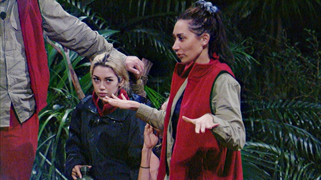 Vier-Dschungelcamper-f-r-Pr-fung-gesperrt-Wahrer-Grund-enth-llt