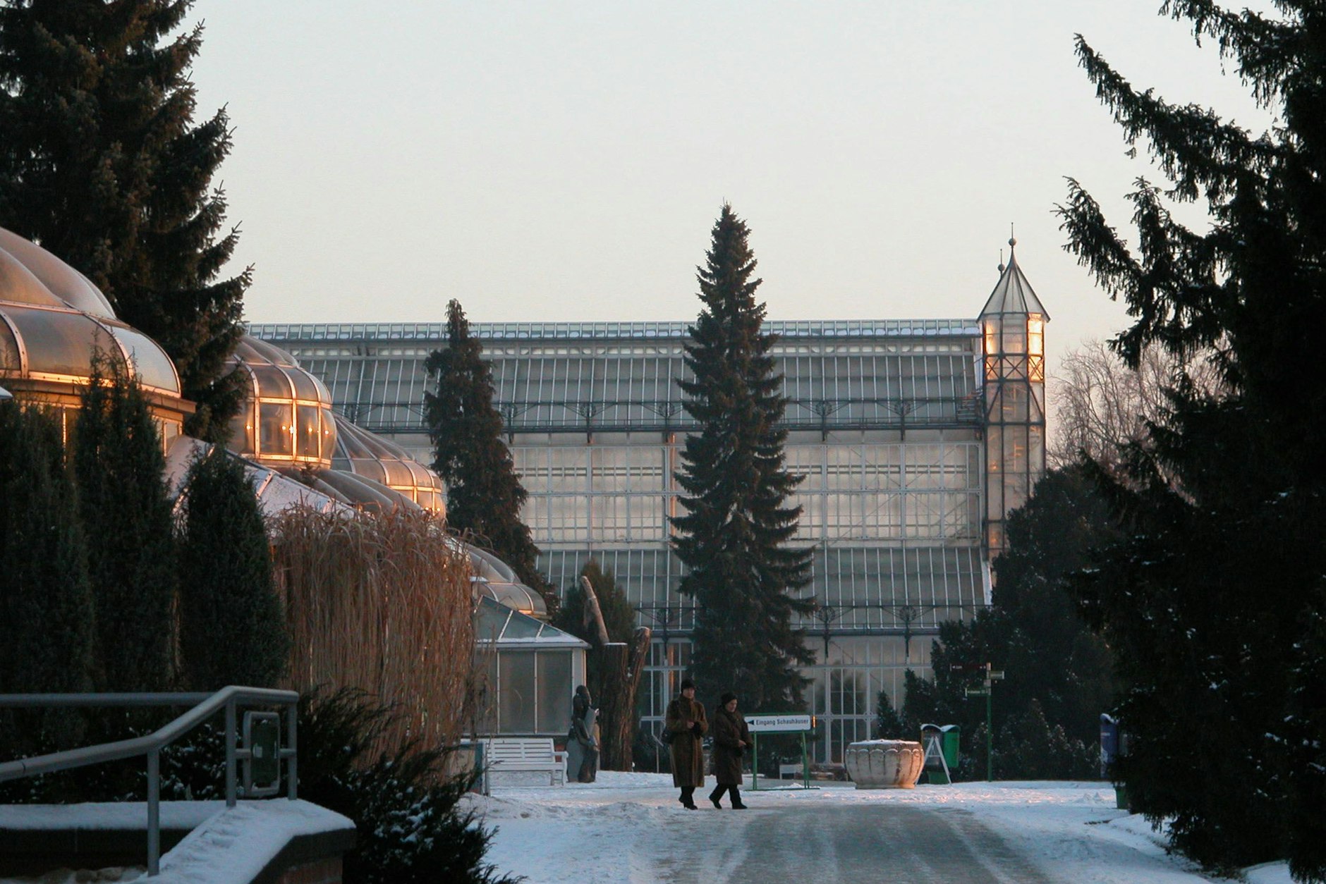 Die Gewächshäuser im Botanischen Garten sind beheizt und es blüht dort auch im tiefsten Winter.
