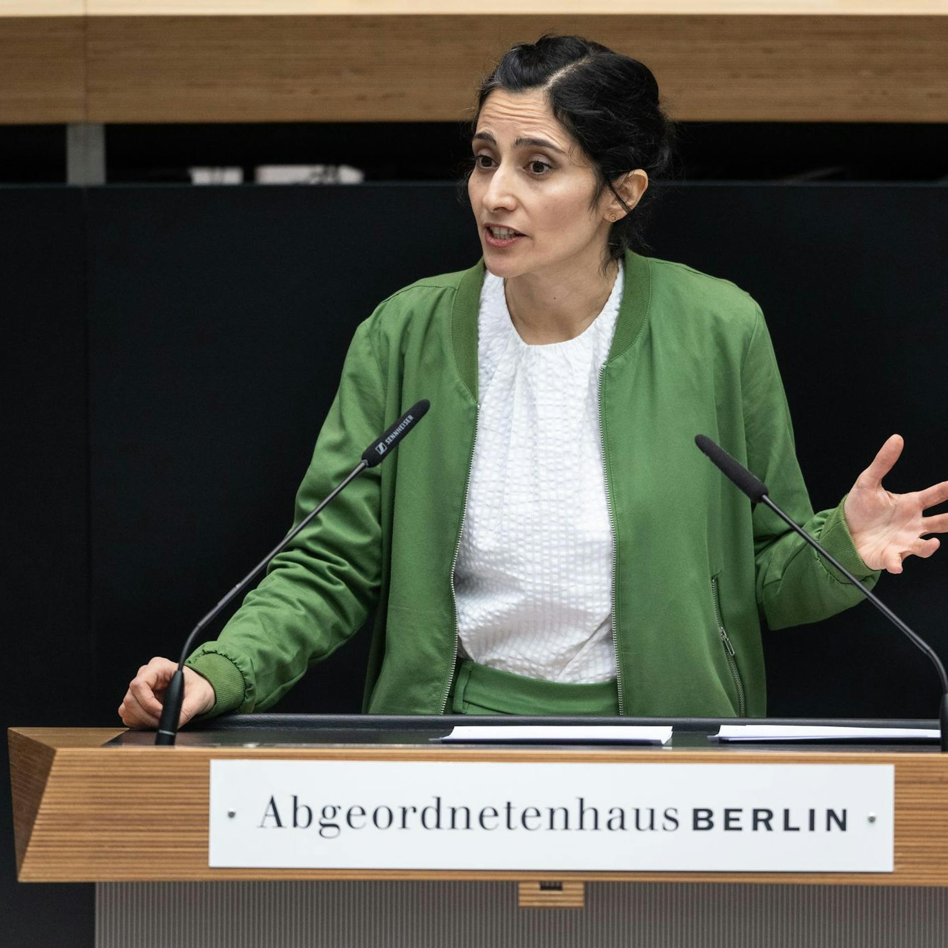 Image - Berliner Verfassungsgericht: Grüne Vizepräsidentin warf AfD-Abgeordneten unrechtmäßig aus Sitzung