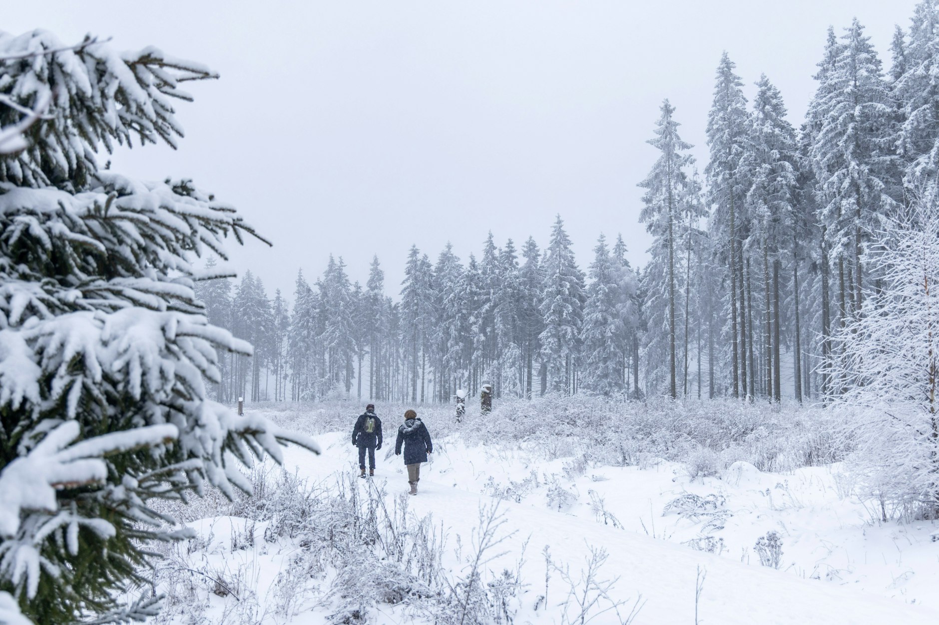 Der Winter hat auch schöne Seiten, doch die Kälte wird für manche Menschen inzwischen zur Belastung.