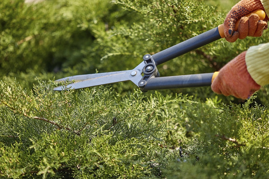 Euro-Garten-Solarstrom-diese-Neuerungen-treffen-viele-Berliner