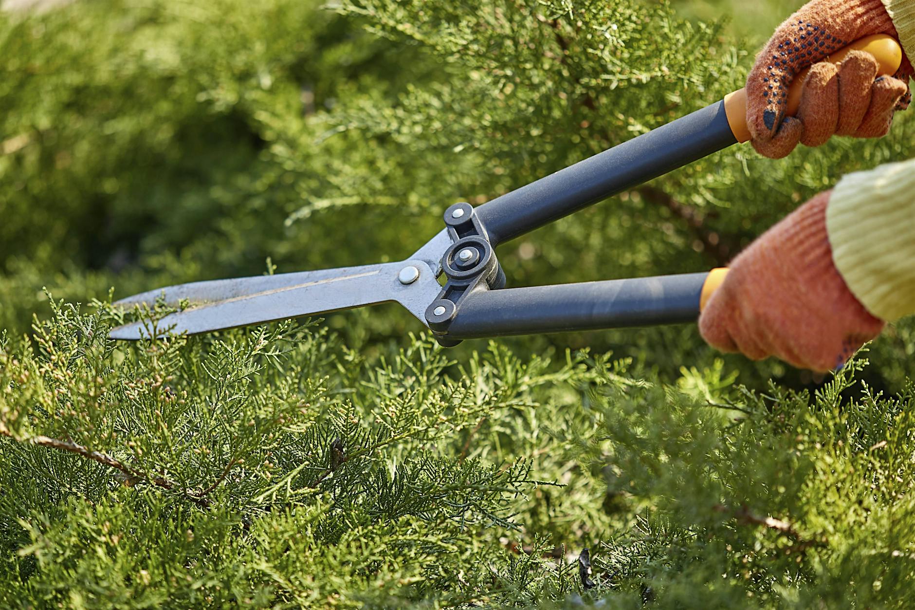 Euro, Garten, Solarstrom – diese Neuerungen treffen viele Berliner