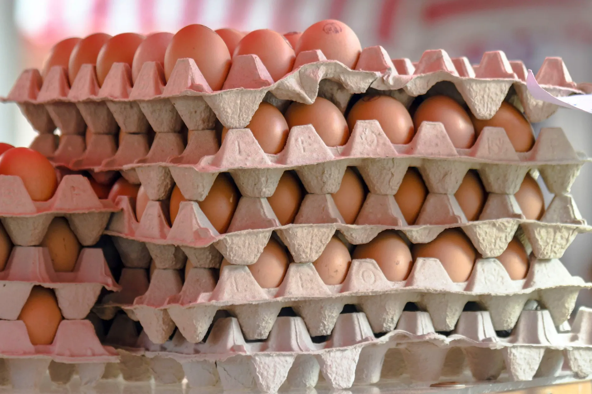 Die EU importiert im großen Stil Eier aus der Ukraine (Symbolfoto).