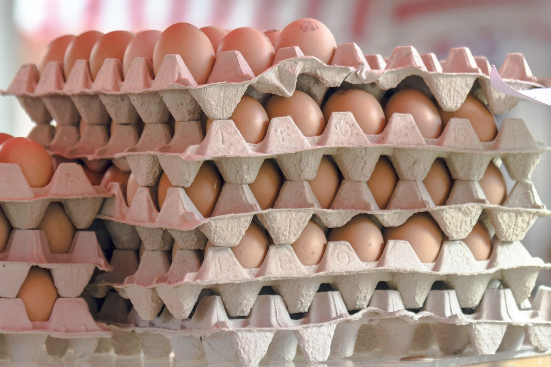 Die EU importiert im großen Stil Eier aus der Ukraine (Symbolfoto).