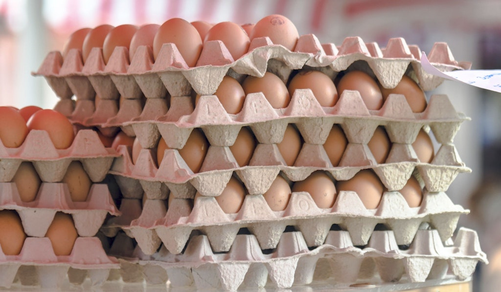 Immer-mehr-Billig-Eier-aus-der-Ukraine-landen-falsch-deklariert-in-der-EU