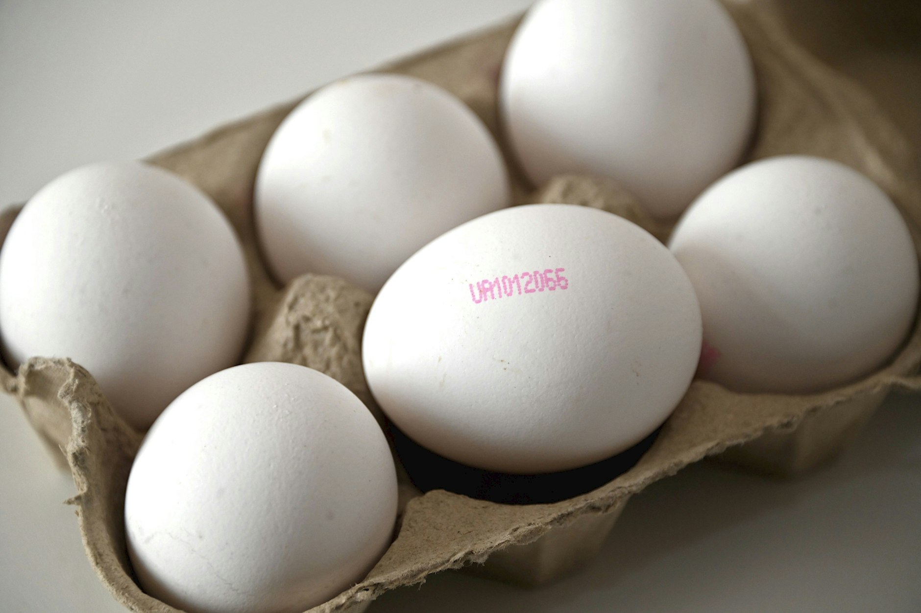 Immer mehr Billig-Eier aus der Ukraine landen falsch deklariert in der EU