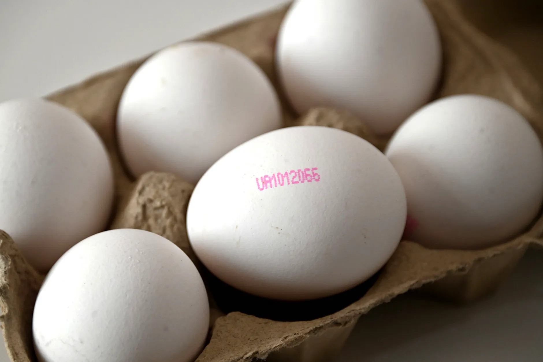 Antibiotika-Funde und Bio-Tricks: Streit um Eier aus Ukraine